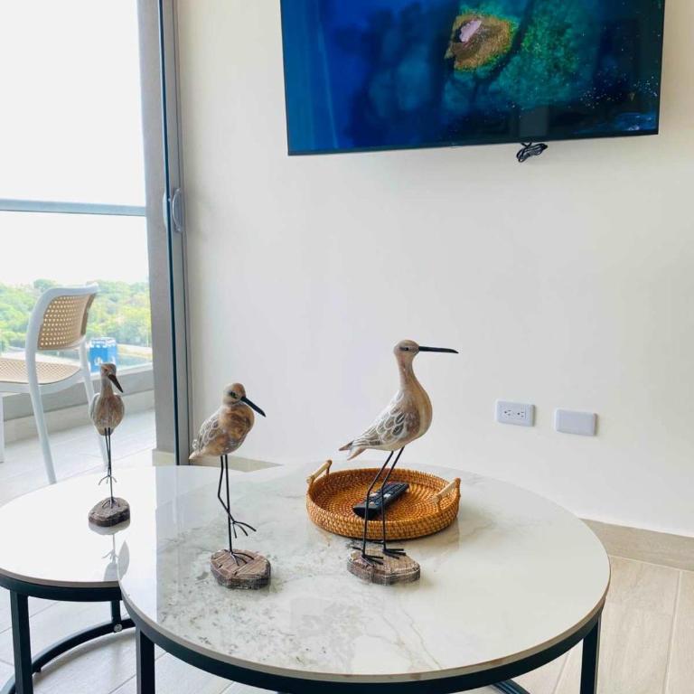 New apto near beach with WiFi in SMR 804 - Apartment - 19