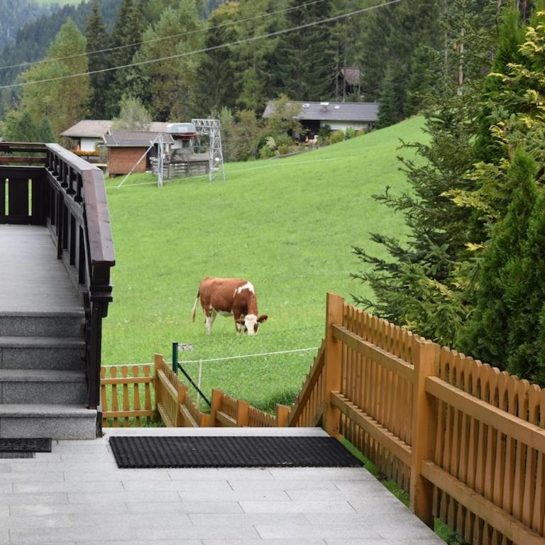 GastHaus Tiotrag Easy Access & Private Parking - Appartement Supérieur - 7
