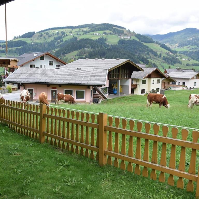 GastHaus Tiotrag Easy Access & Private Parking - Appartement Supérieur - 6