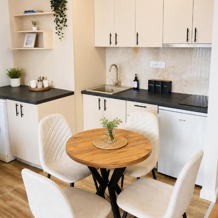 Fontana Lux Apartment - Apartman sa 1 Spavaćom Sobom - 5