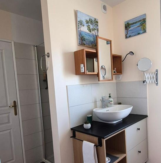 Grand studio proche plages et toutes commodités - Appartamento con 1 Camera da Letto - 4
