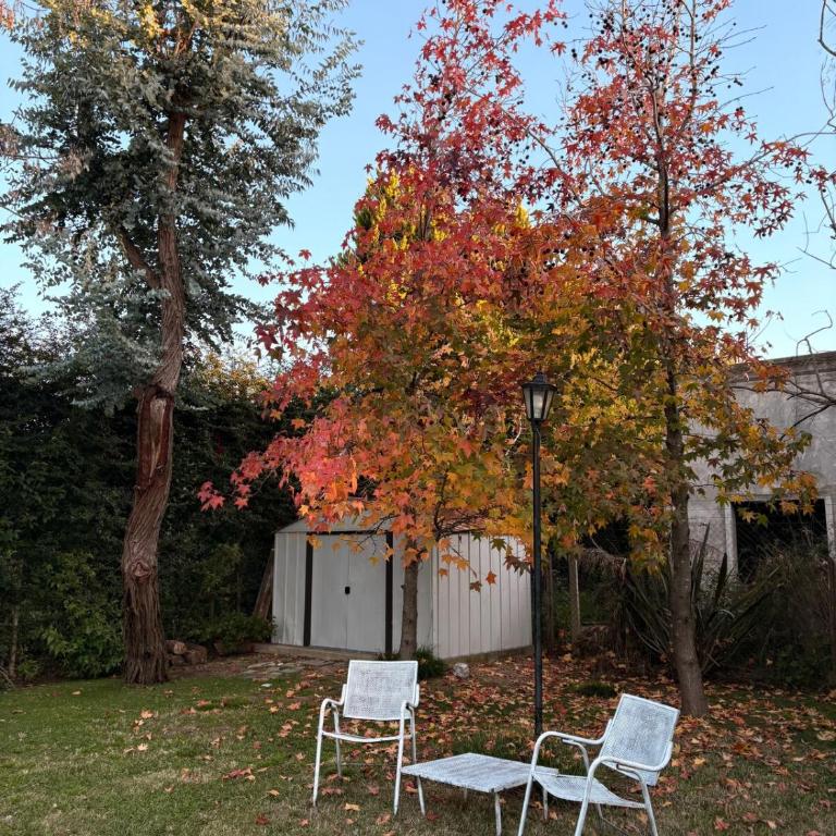 La Renata - Quinta - Casa de 2 dormitorios - 33