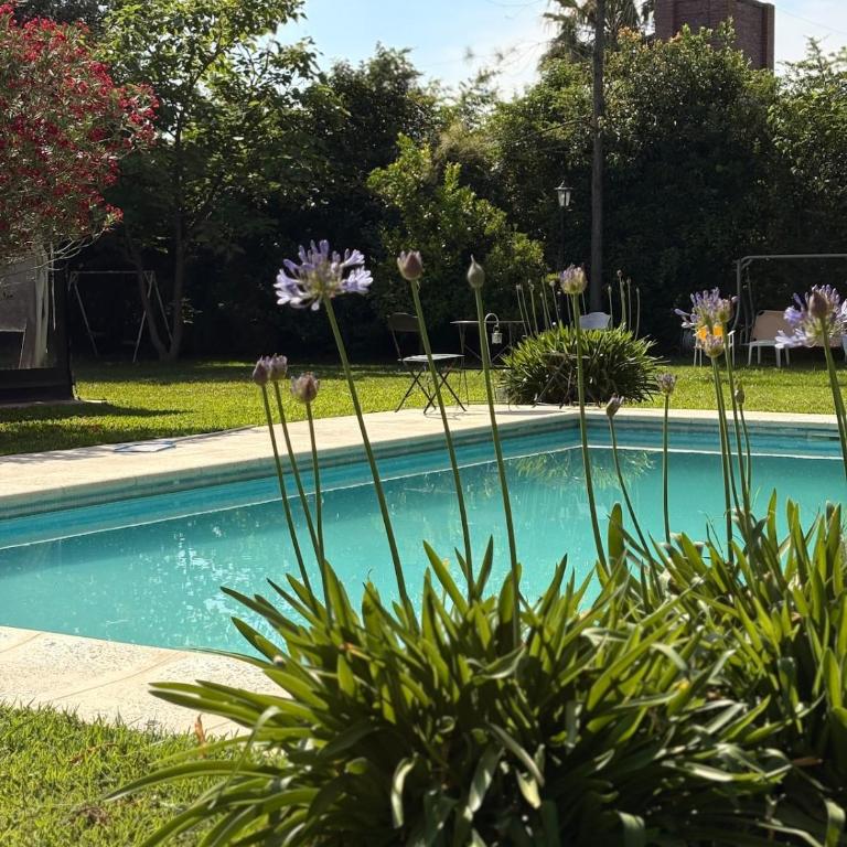 La Renata - Quinta - Casa de 2 dormitorios - 77