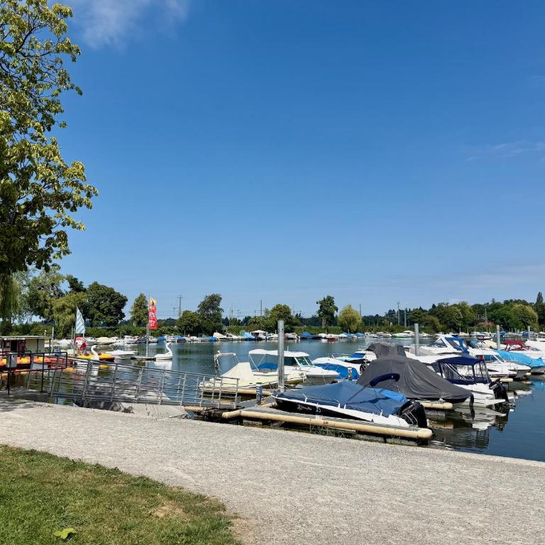 Ferienwohnung Inselwohnung - Auszeit am kleinen See auf der Insel Lindau - Apartment mit 1 Schlafzimmer - 15
