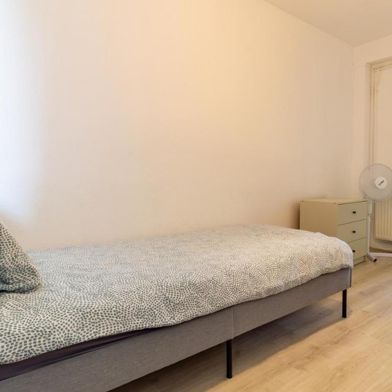 La Perle - Ideal family - Hypercentre - Wifi HD - Appartement 3 Chambres - 17
