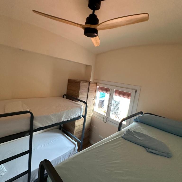Can Cocollona - Cama en habitación femenina compartida de 4 camas - 3