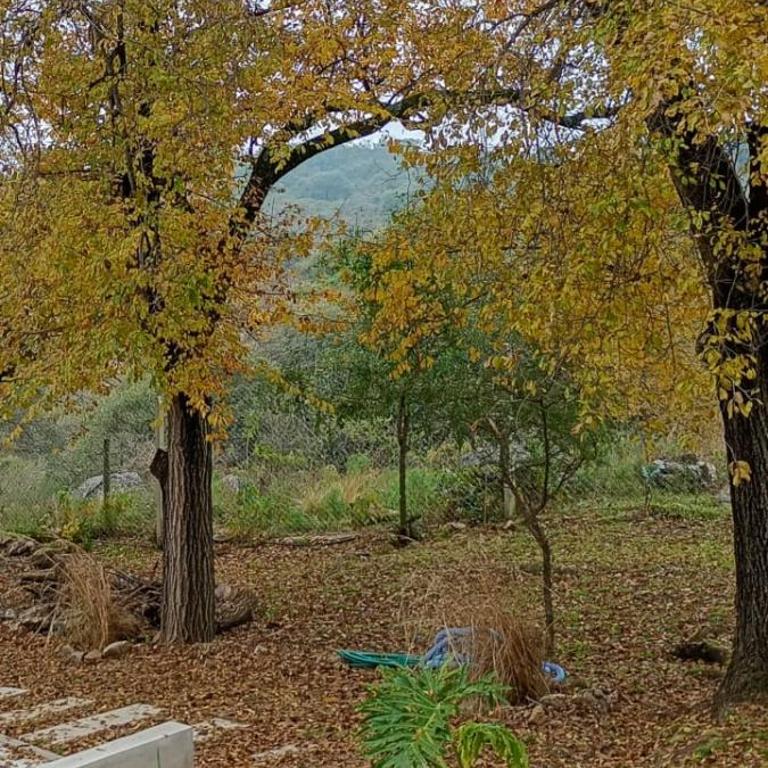 Casa La Serranita V & G - Casa de 2 dormitorios - 12