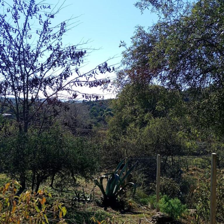 Casa La Serranita V & G - Casa de 2 dormitorios - 19