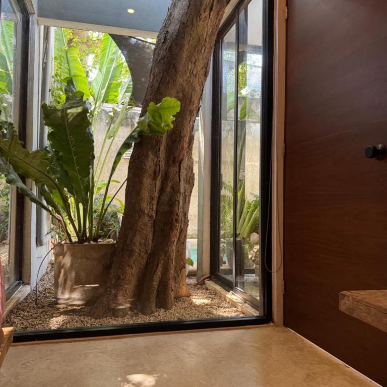 Casa Ramon Merida 2 BR AC Private Pool Centro - Maison 2 Chambres - 18