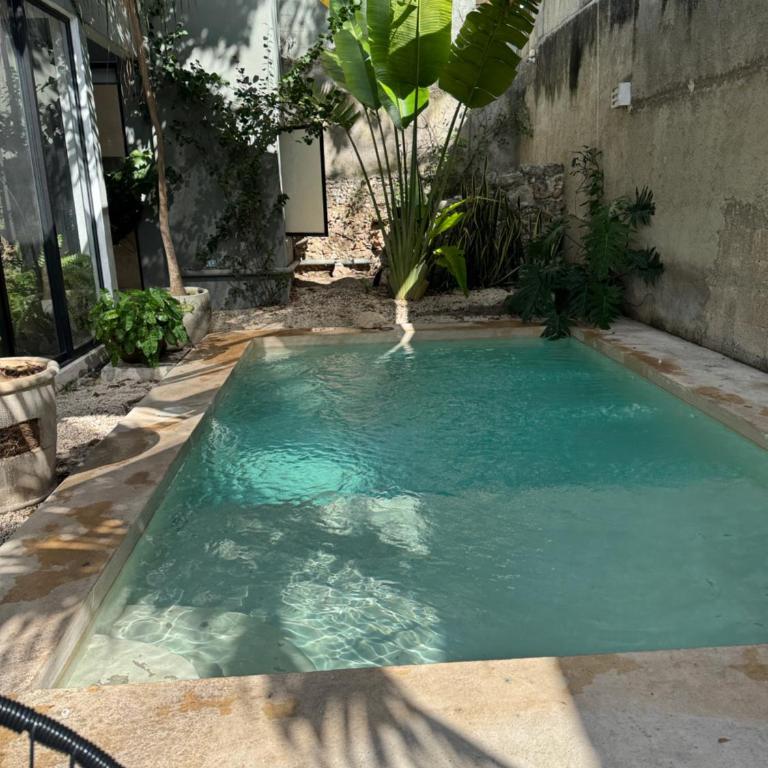 Casa Ramon Merida 2 BR AC Private Pool Centro - Maison 2 Chambres - 5