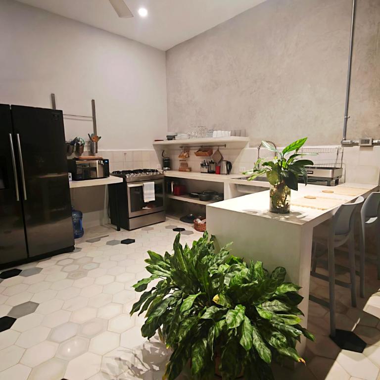 Casa Ramon Merida 2 BR AC Private Pool Centro - Maison 2 Chambres - 25