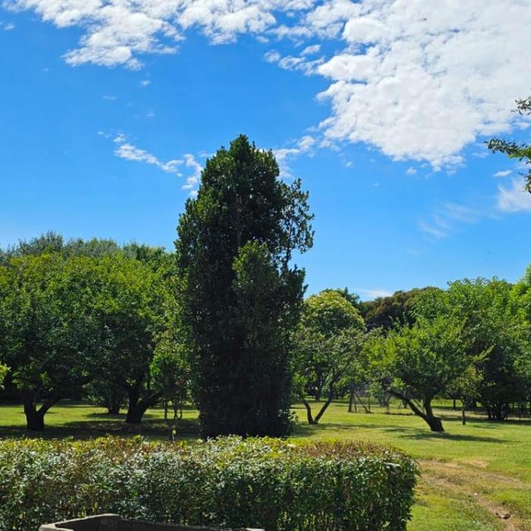 Fuegos del Parana - Four-Bedroom House - 14