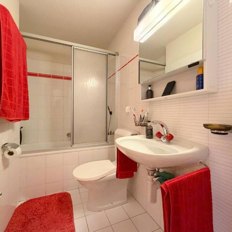 Appartement chaleureux – Bois et montagnes - Appartement - 10
