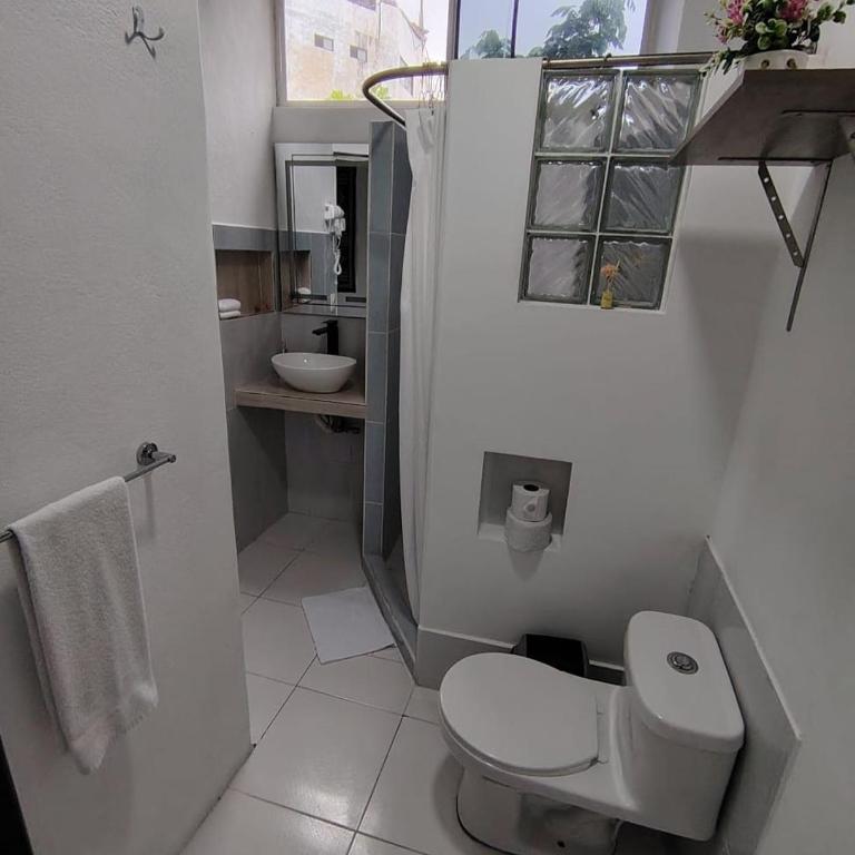 Darwin-Galápagos Apartment - One-Bedroom Apartment - 6