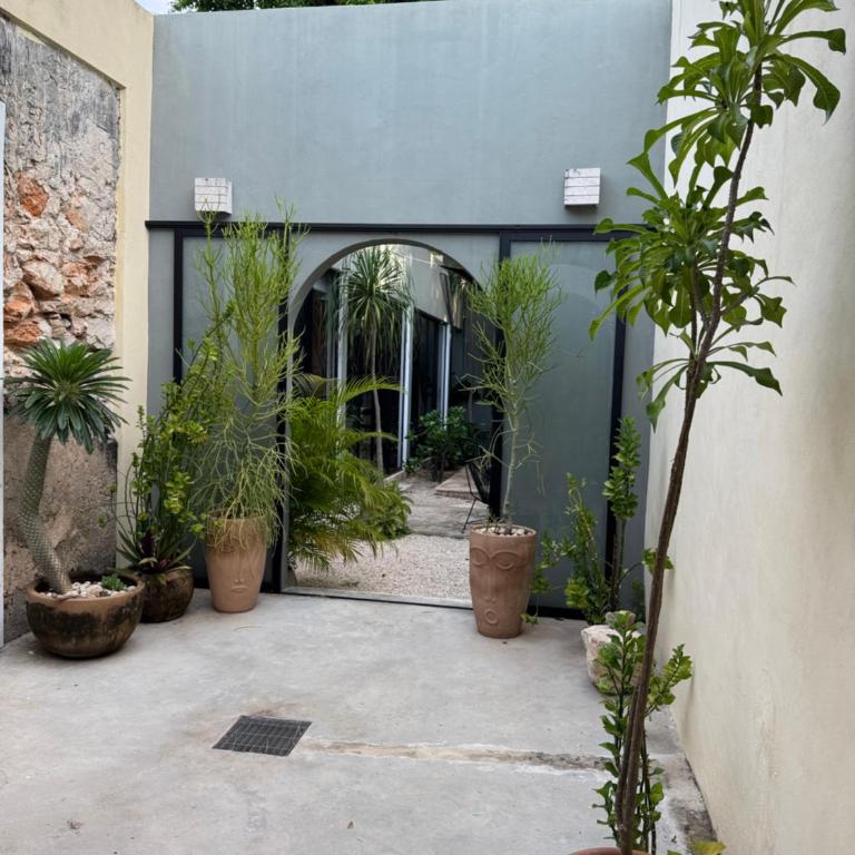 Casa Ramon Merida 2 BR AC Private Pool Centro - Maison 2 Chambres - 27
