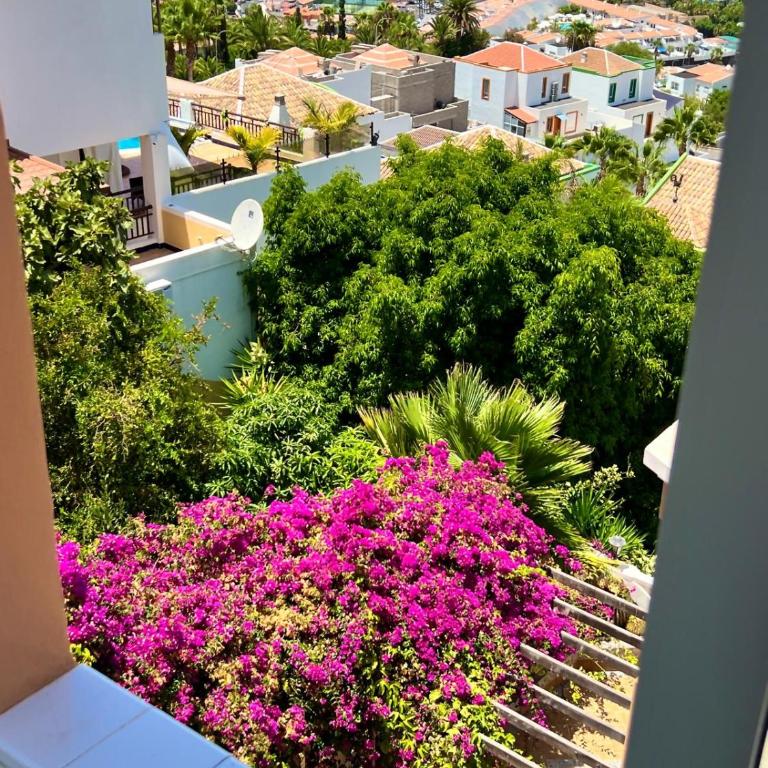 Villa Bella Vista- Luxury Ocean & Mountain Views - Villa mit Meerblick - 5