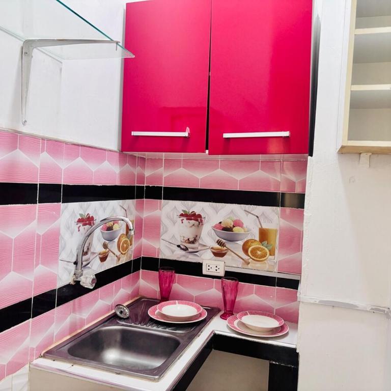 Downtown Pucallpa Room, ideal kitchen area Villa Roncal - One-Bedroom Apartment - 10