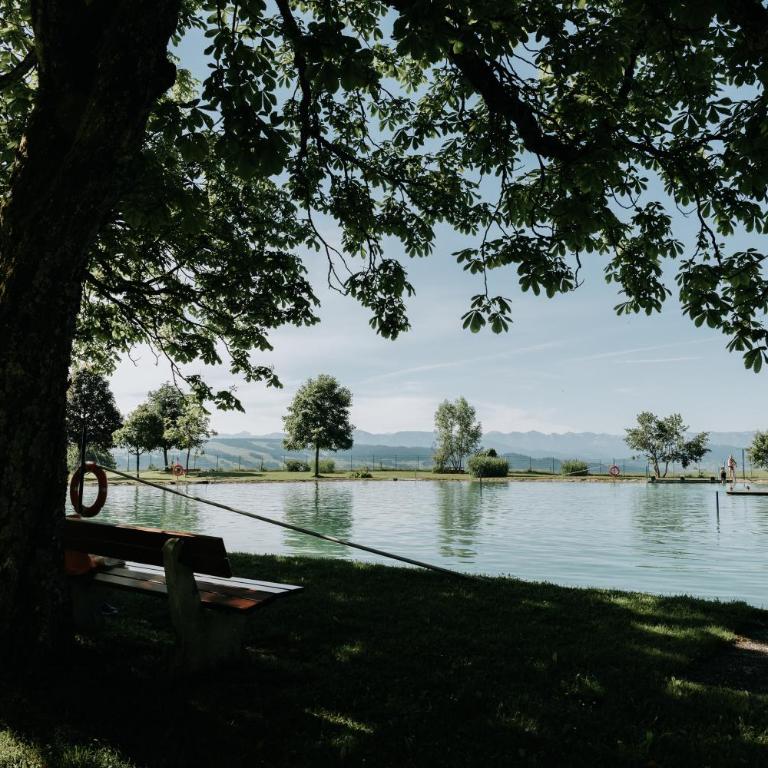Die Ruhmühle - Casa Vacanze - 4