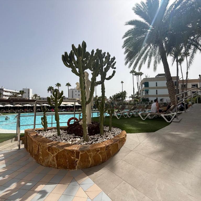 koka 01, playa del inglés - One-Bedroom Apartment - 1