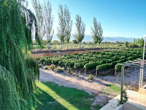 Rincon del Malbec - Chalet Superior - 9