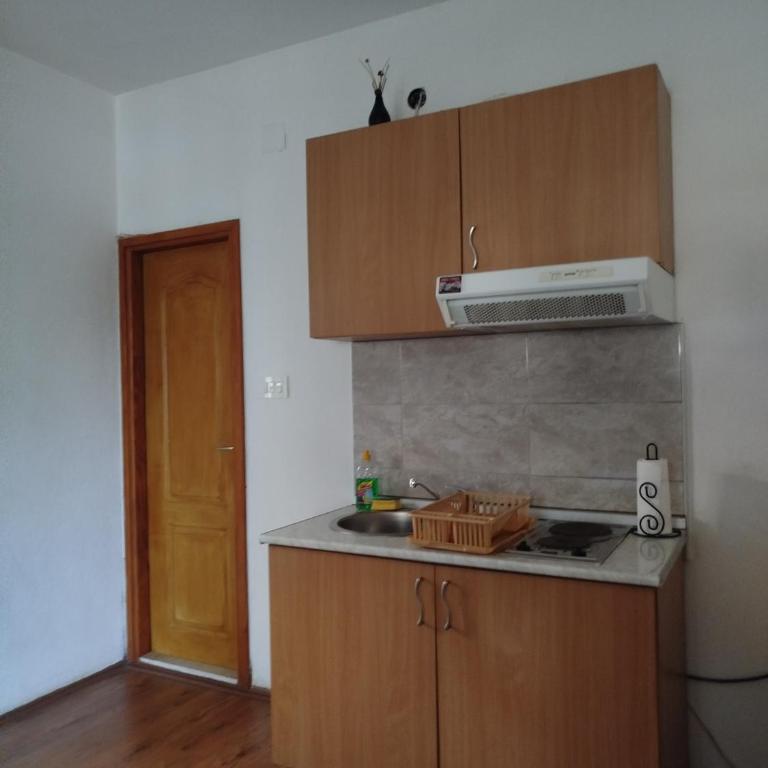 Apartman MiŽ - Apartman sa 1 Spavaćom Sobom - 6