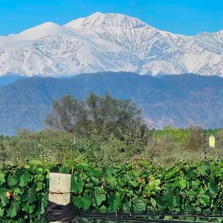 Rincon del Malbec - Chalet Superior - 2