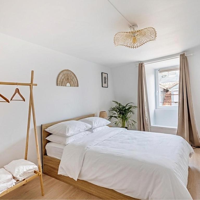 Le Cocon Nature Mulhouse centre ville - Appartement 2 Chambres - 10