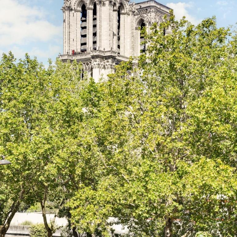Hotel Murmures Notre-Dame - Suite Deluxe - 9