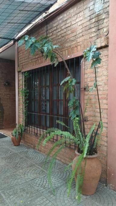 Casa Magnolia, Casa de huéspedes - Apartamento Deluxe de 3 dormitorios - 18