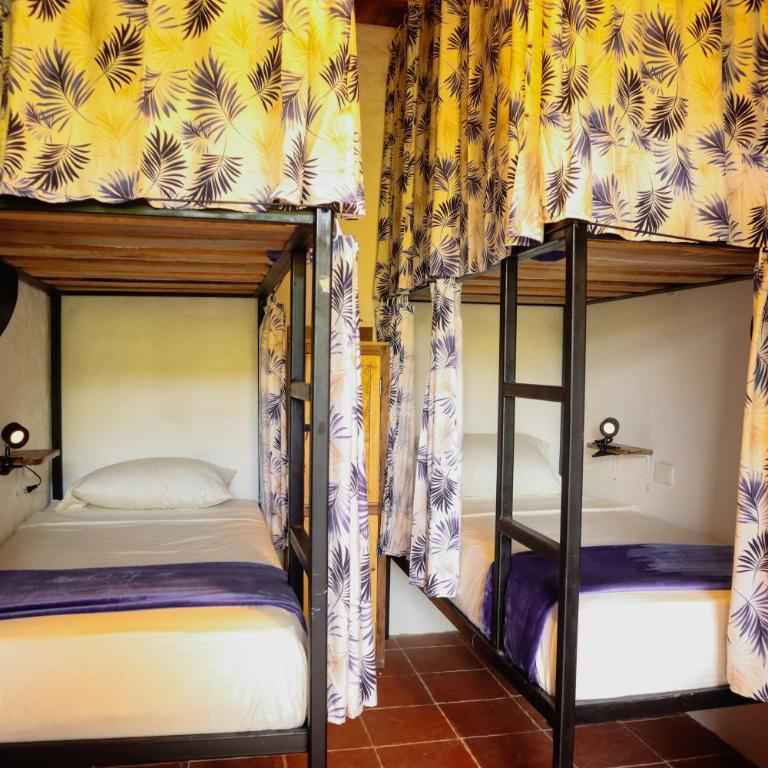Tribu Hostal - Bed in 6-Bed Female Dormitory Room - 1
