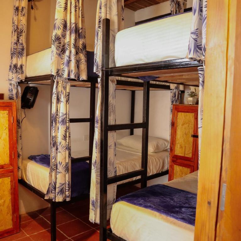 Tribu Hostal - Bed in 6-Bed Female Dormitory Room - 2