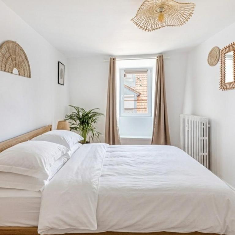Le Cocon Nature Mulhouse centre ville - Appartement 2 Chambres - 13