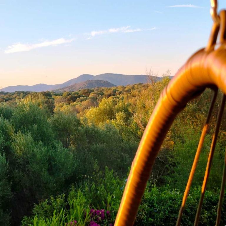 Glori House 50m from Marina di Olbia - Happy Rentals - Apartment with Balcony - 20