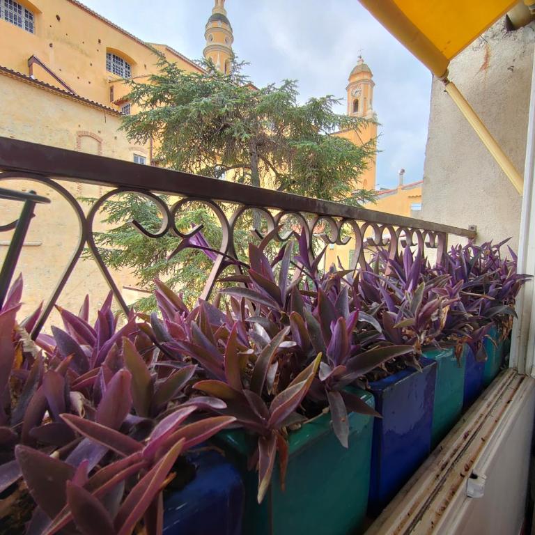 Historic Duplex with Sea View Old Town Menton - Appartement 2 Chambres - 8