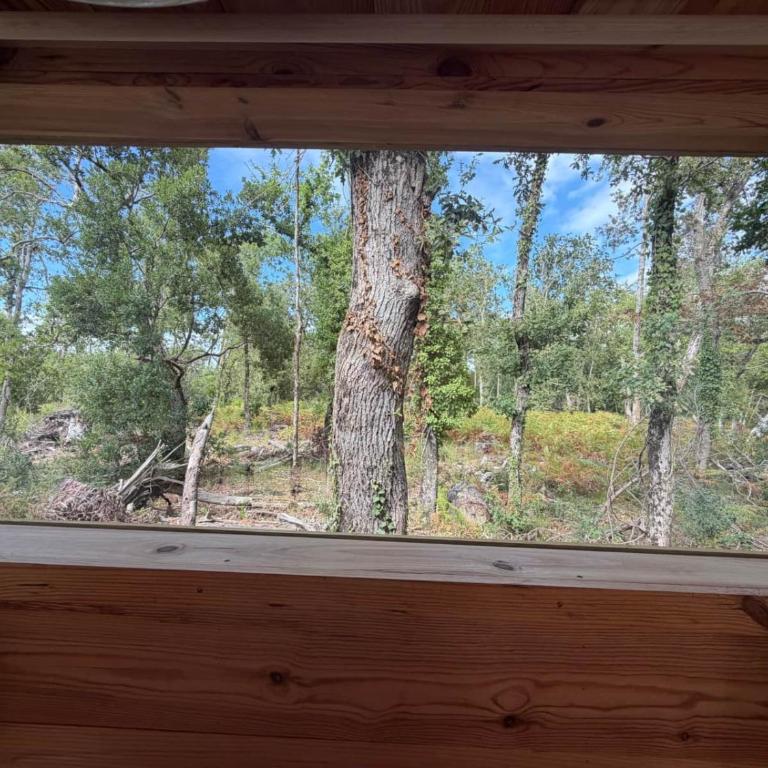 Le Chalet du lac - Chalet - 81