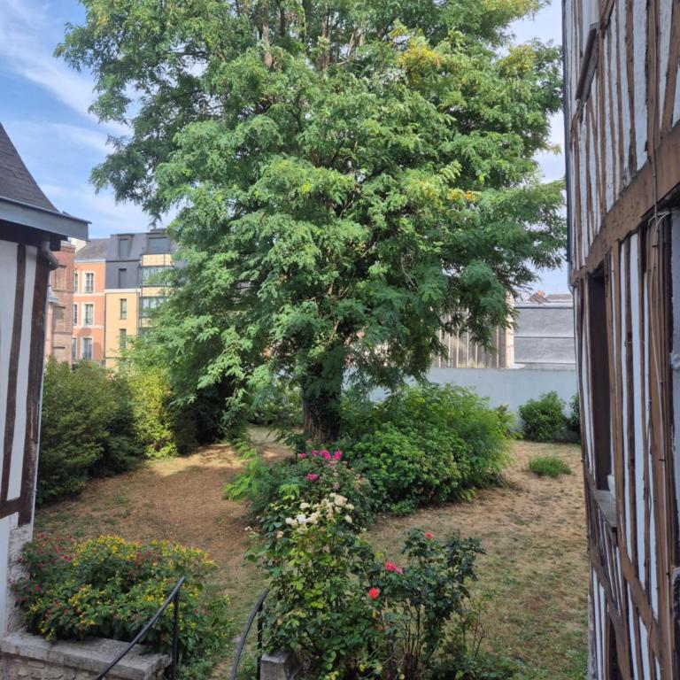 Studio de charme au coeur du vieux Rouen Calme et jardin - Appartamento con 1 Camera da Letto - 18