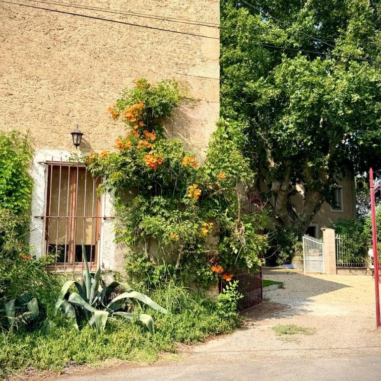 Le Ramounet - Maison 3 Chambres - 14