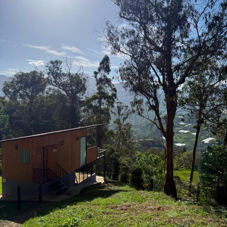 Finca Ecoturistica La Felicidad - Chalet - 5