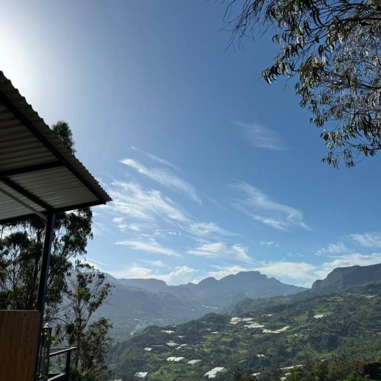Finca Ecoturistica La Felicidad - Chalet - 9