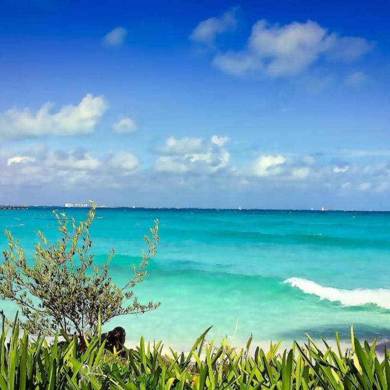 Walk to Party Center and enjoy a great beach at Punta Cancun - Apartamento de 1 dormitorio - 21