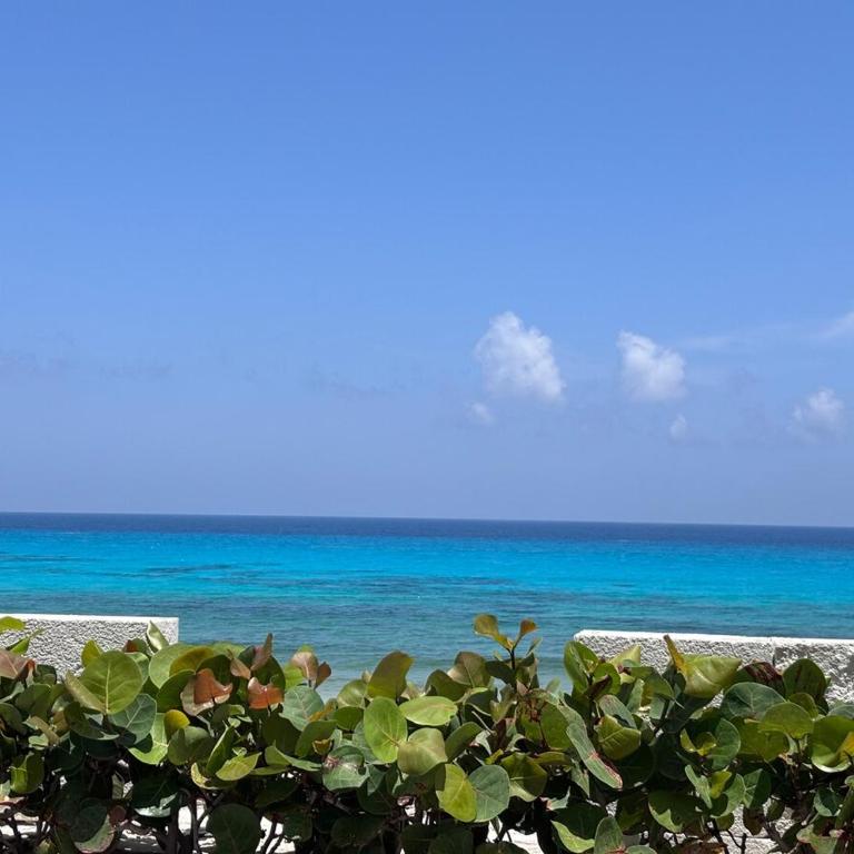 Walk to Party Center and enjoy a great beach at Punta Cancun - Apartamento de 1 dormitorio - 26