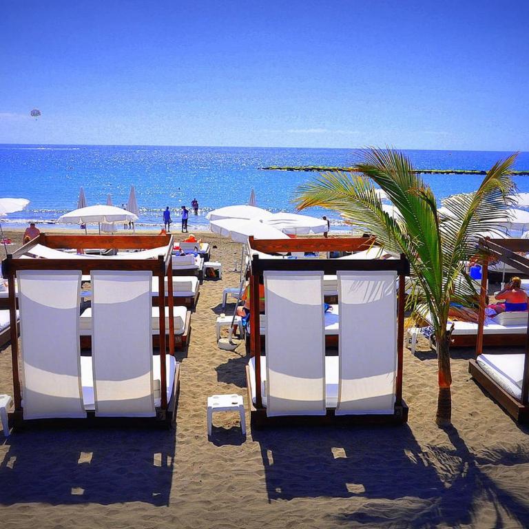 Ocean Park - Apartamento - 2