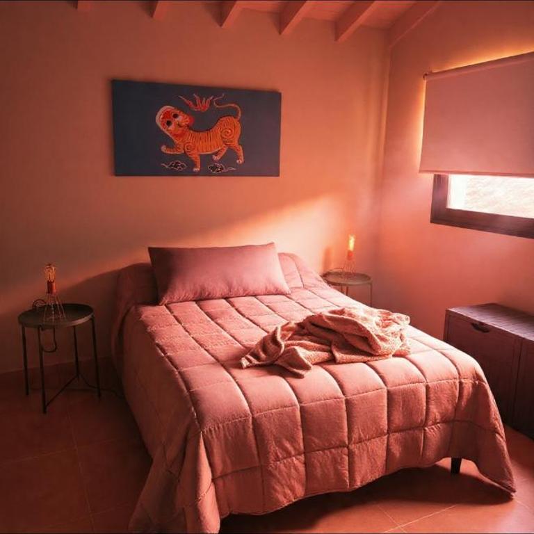 Casa Los Molles near las Leñas Pirihue - Chalet de 1 dormitorio - 6