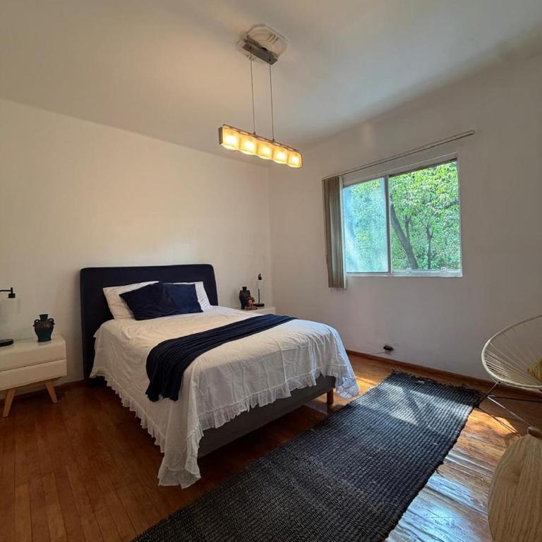Bright apartment in the heart of La Condesa - Apartamento de 1 dormitorio - 3