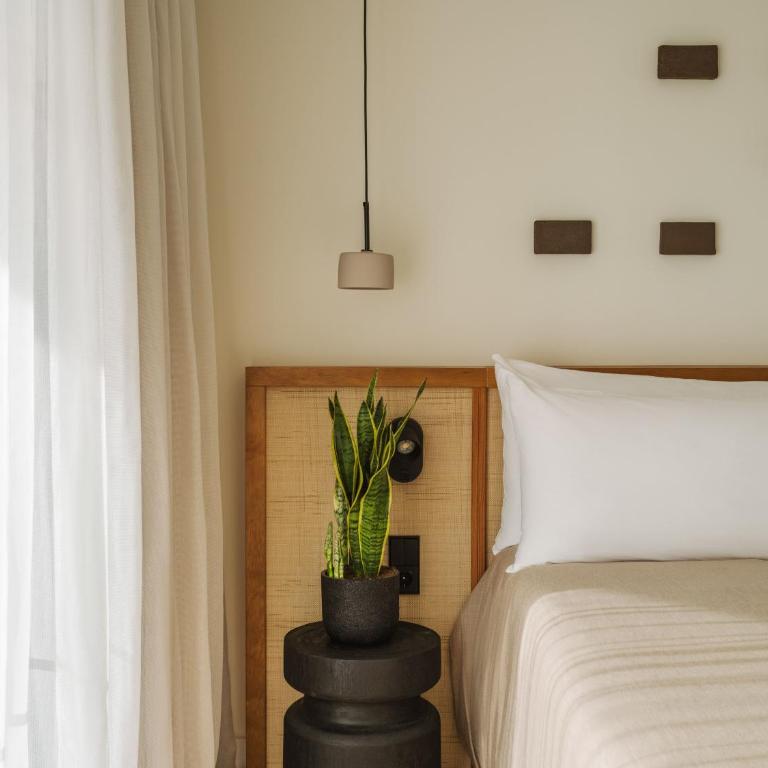 Paradisus by Meliá Fuerteventura - All Inclusive - Suite Junior The Reserve con vistas al océano - 1