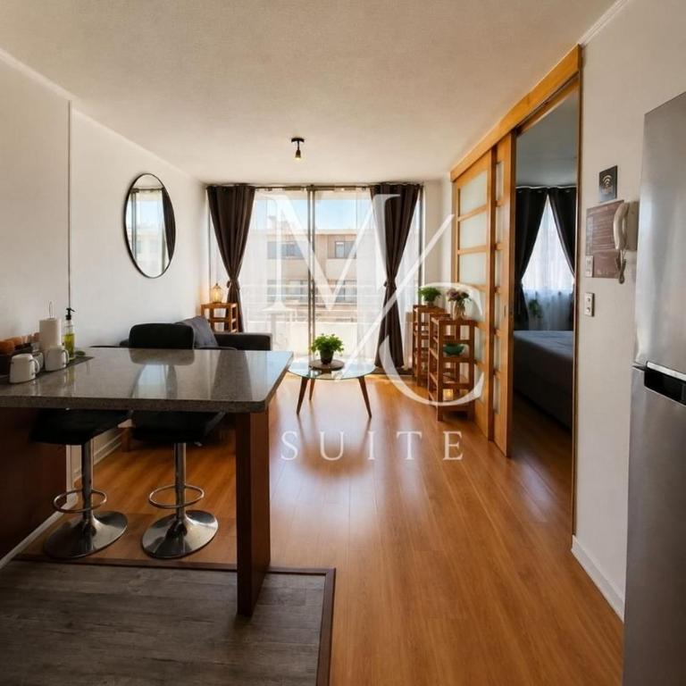 Disponibles Deptos Central, Uribe 305, Mall Plaza 1, 2 y 3 dormitorios. Parking, Wifi y Factura - Apartamento de 1 dormitorio con balcón - 10