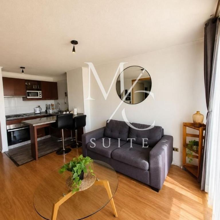 Disponibles Deptos Central, Uribe 305, Mall Plaza 1, 2 y 3 dormitorios. Parking, Wifi y Factura - Apartamento de 1 dormitorio con balcón - 11