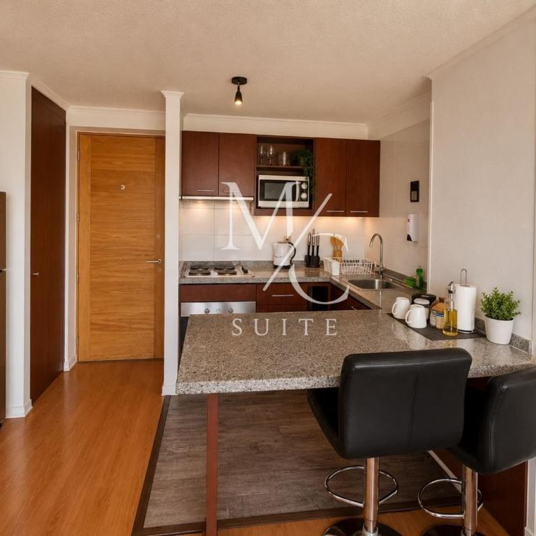 Disponibles Deptos Central, Uribe 305, Mall Plaza 1, 2 y 3 dormitorios. Parking, Wifi y Factura - Apartamento de 1 dormitorio con balcón - 17