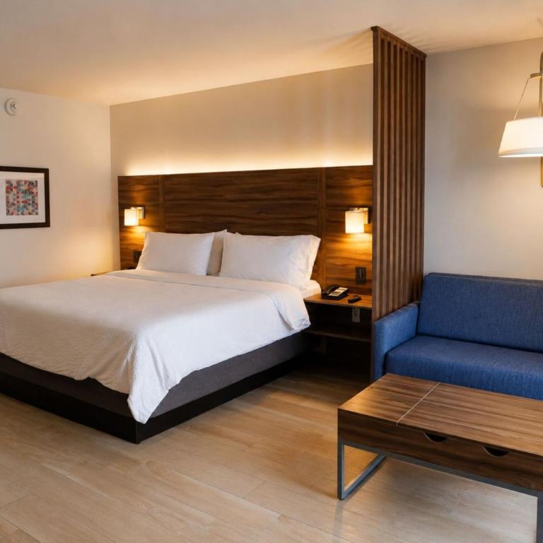 Holiday Inn Express & Suites - Playa del Carmen by IHG - Suite con cama extragrande - 10