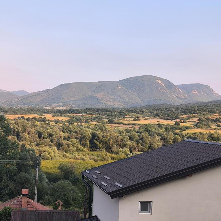 STD Videnović - Apartman sa 1 Spavaćom Sobom - 14